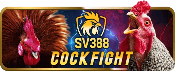 Chuyên gia soi kèo đá gà Z8BET