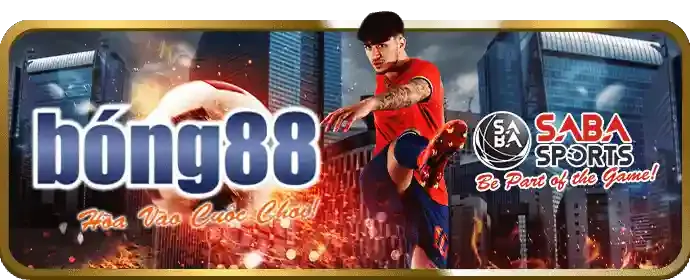 Công bằng và minh bạch z8bet