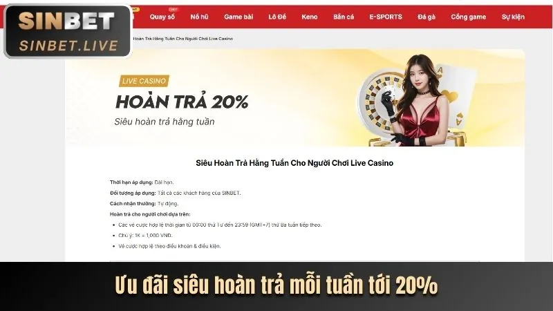 Biểu đồ tỷ lệ cược cạnh tranh